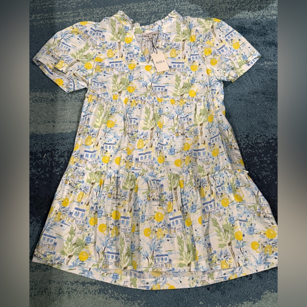 Avara Evan dress size L NWT